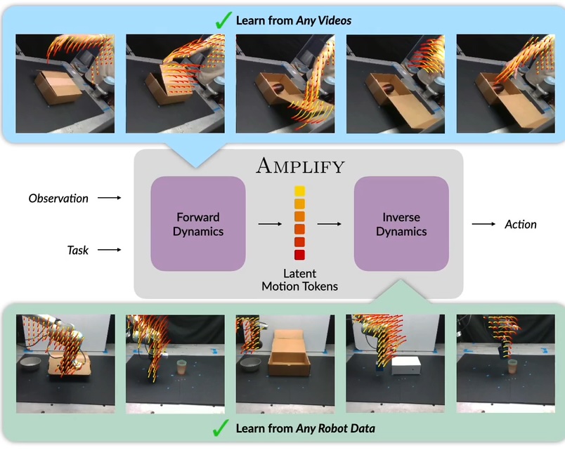 amplify-corl25.jpg