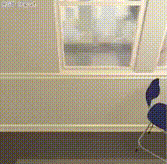 corl21-hlsm.gif