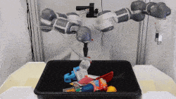 mechsearch-icra19.gif
