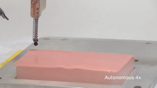 pida-case16.gif