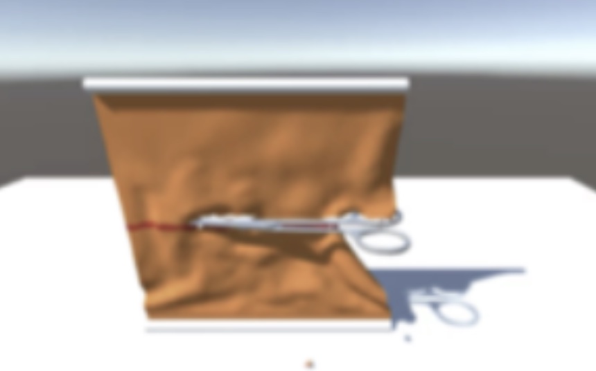 rl-surg-sim-journal.jpg